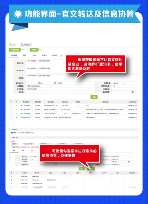 構(gòu)建高效協(xié)同機制 企業(yè)與代理機構(gòu)在貸款申報手續(xù)業(yè)務(wù)中的合作之道