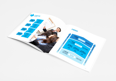 上海IDB企業(yè)管理咨詢宣傳冊設計
